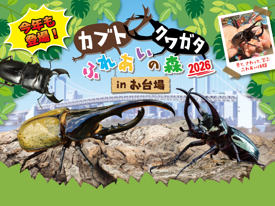 カブト・クワガタ ふれあいの森 in お台場 2026